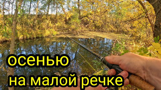 СО СПИННИНГОМ НА КРАСИВОЙ РЕЧКЕ !!! РЫБАЛКА В ЛИСТОПАД !!!