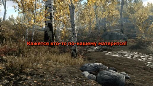 SKYRIM. Встретил злобную Довакиншу с топором