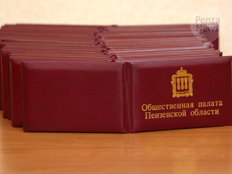    © Фото из архива ИА «PenzaNews»