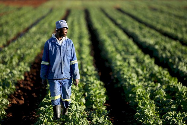 Фото: Siphiwe Sibeko / Reuters 
