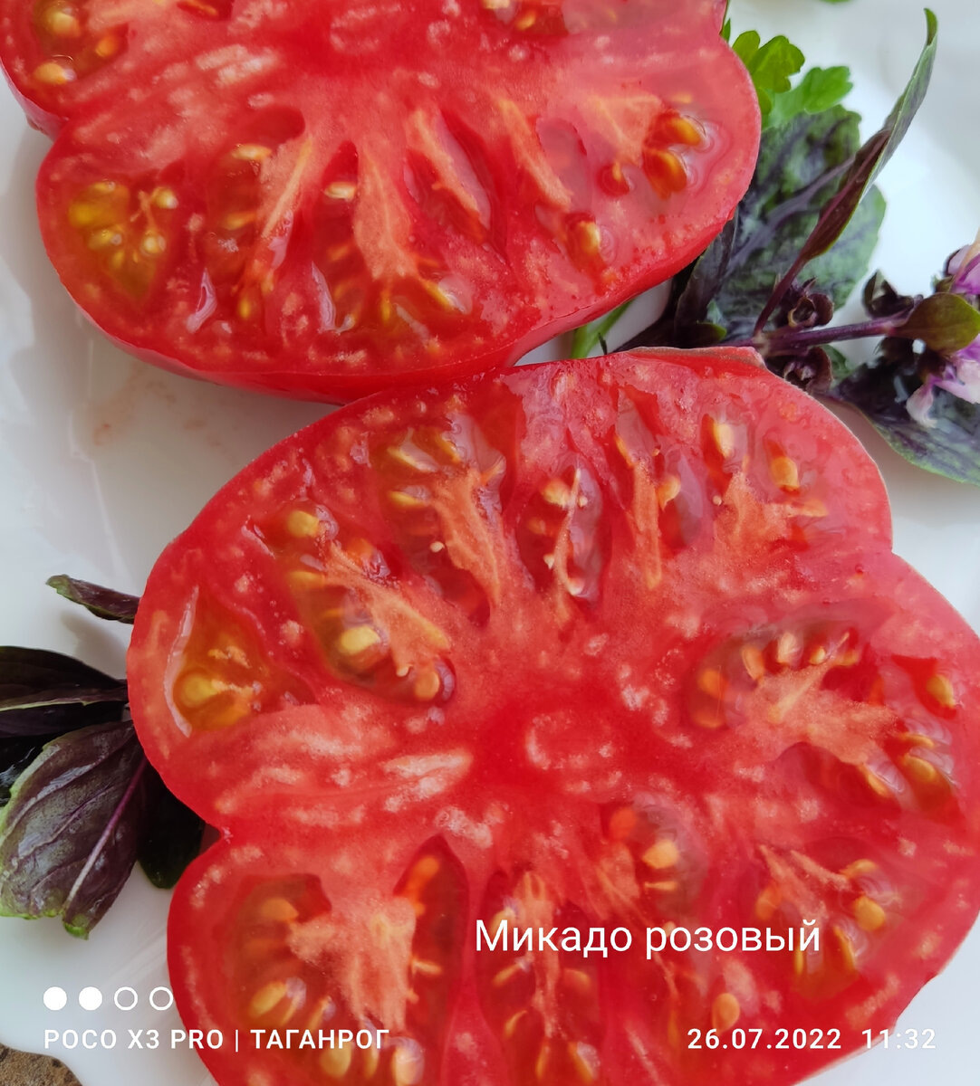 Мякоть сочная, сладкая, с приятной кислинкой.