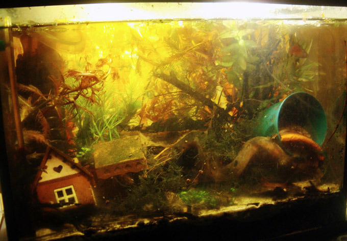 из открытых источников