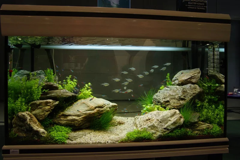 из открытых источников