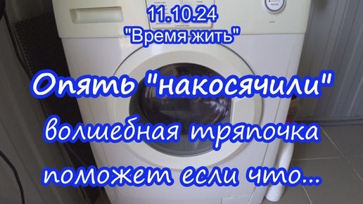 11.10.24. Опять накосячили