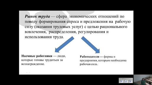 Обществознание 11 класс