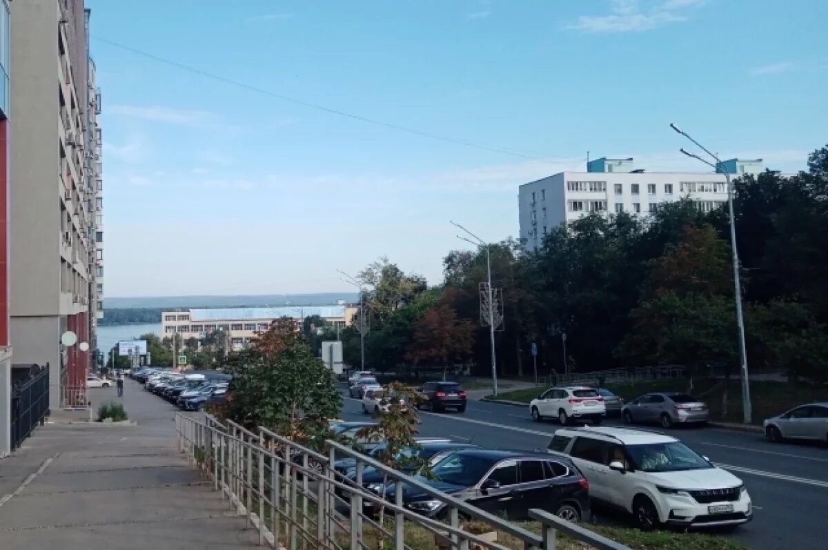   В Самаре активисты требуют убрать фигурки шишиг-летунов