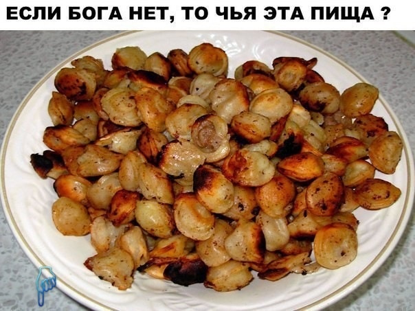 Жаренные пельмени