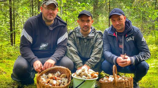 ФАНТАСТИКА! ГРИБЫ РАСТУТ НА ГЛАЗАХ | ПОЛНЫЕ КОРЗИНЫ БЛАГОРОДНЫХ ГРИБОВ | ГРИБЫ 2021