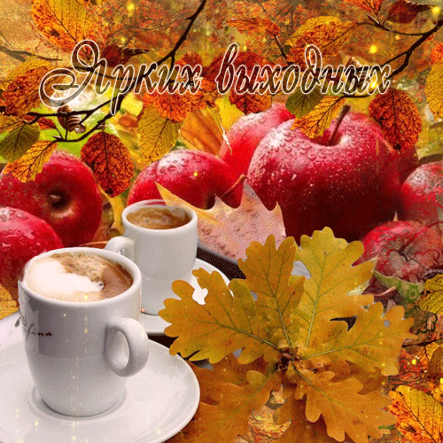 Яндекс картинки