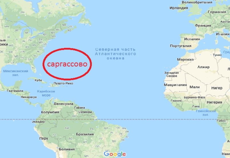 Где на карте полушарий находится саргассово море. Саргассово море на карте Атлантического океана. Азорские острова и Саргассово море на карте. Границы Саргассова моря на контурной карте. Саргассово море на карте.