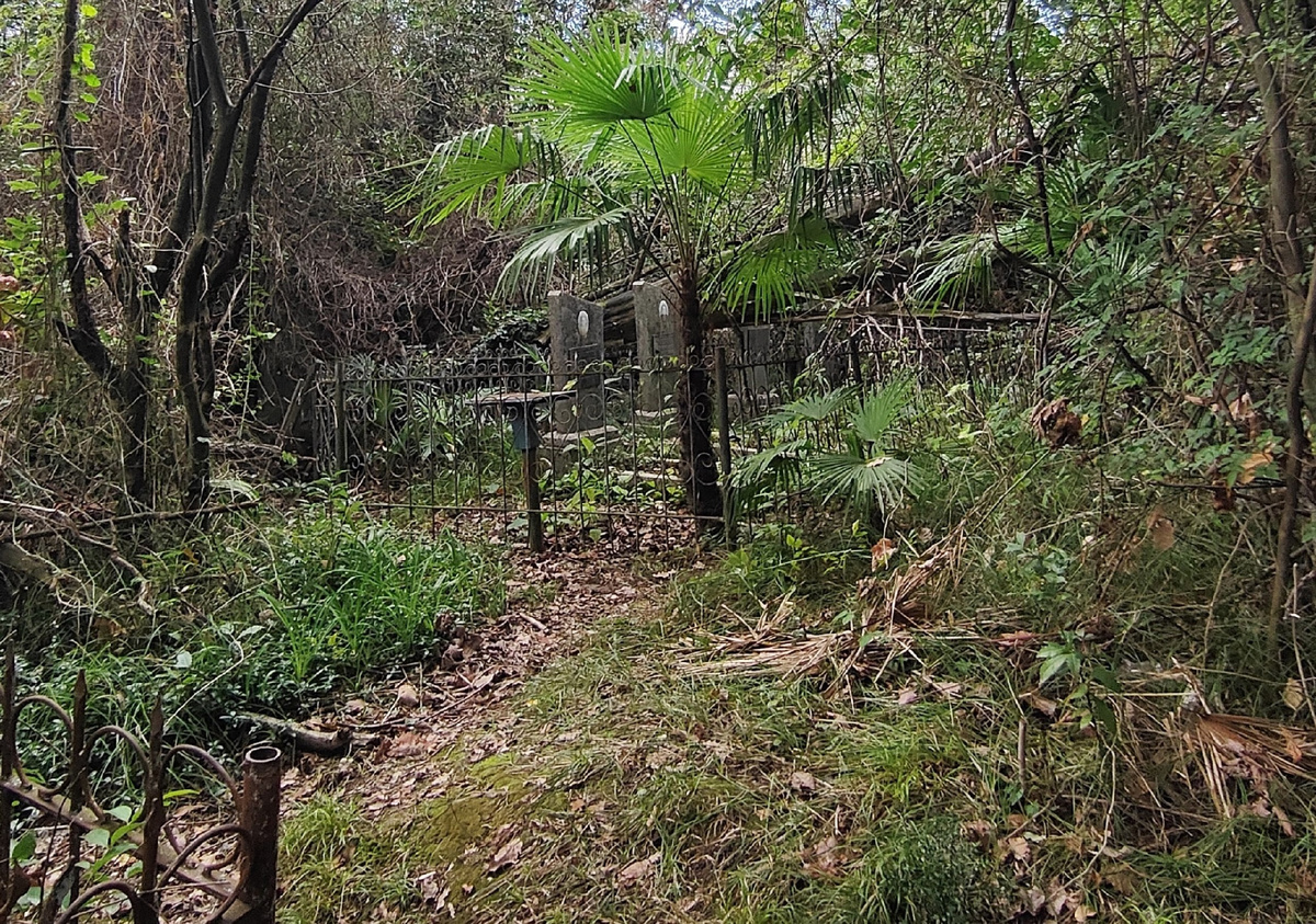 Закрытое Новосочинское кладбище. Фото автора 