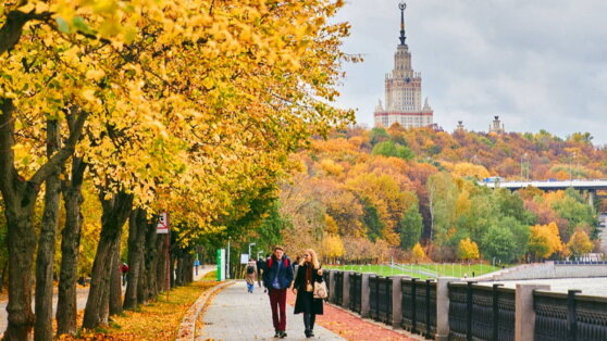    Заметно похолодает: как будет меняться погода на выходных в Москве и области Ирина Петрова