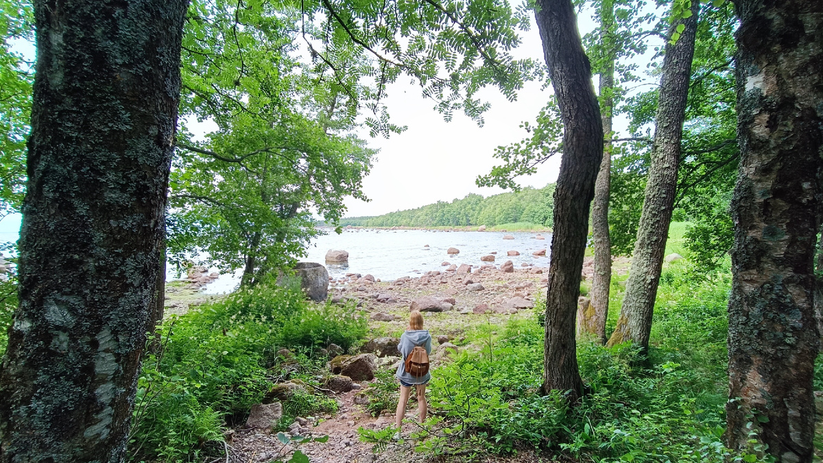 Фото автора. Июль 2024.