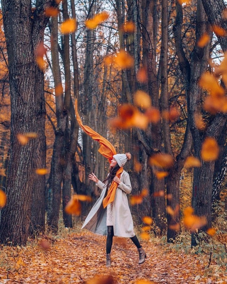 Из свободных источников 