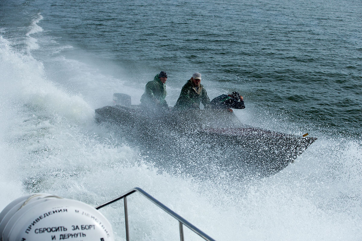 Фотография взята из общей сети Интернет