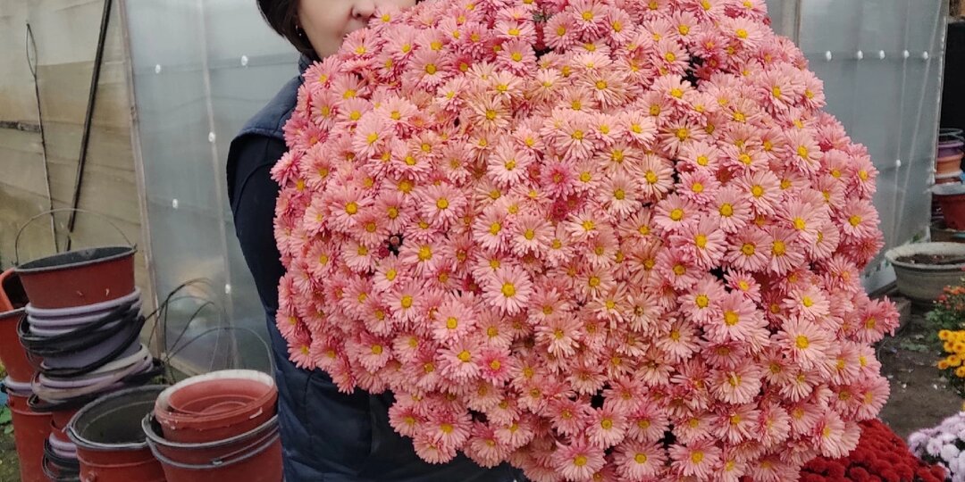 Пора разобраться раз и навсегда!