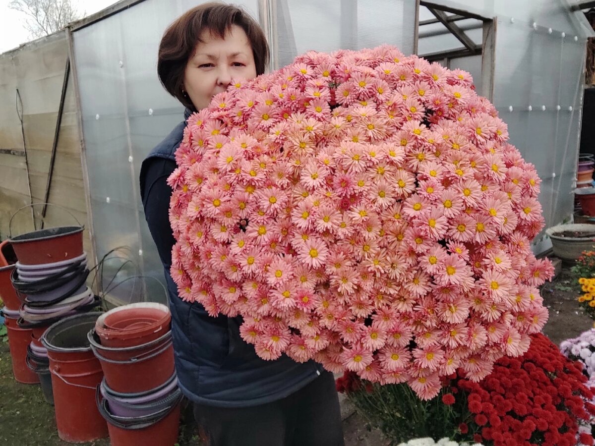 Вот эта красавица иногда ! может перезимовать. Старый проверенный сорт Бранбич крем.