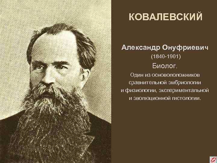 Талантливый биолог и эмбриолог, эволюционист и ученый с мировым именем.