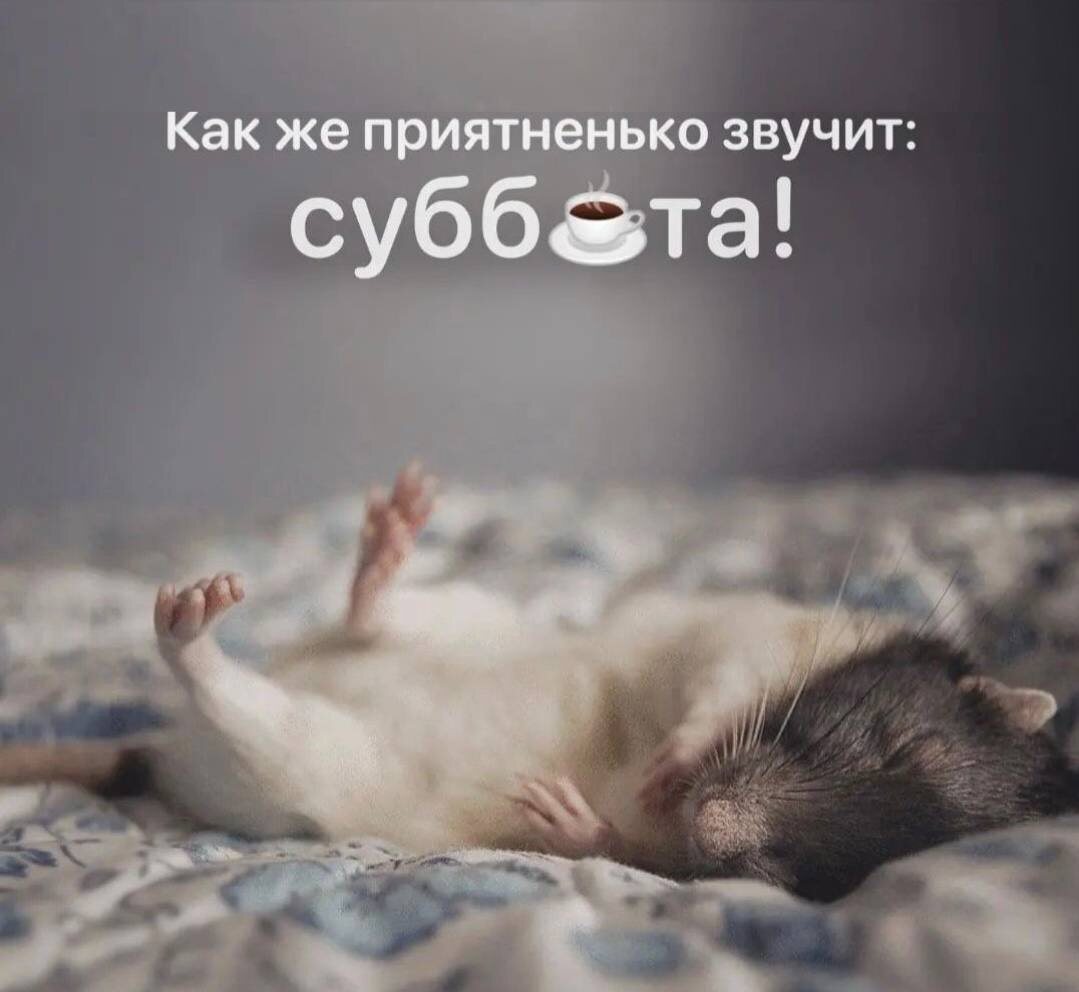 Эх, Суббота
