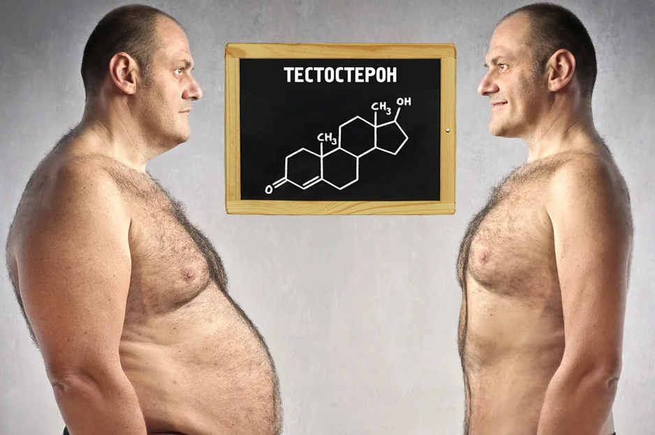Фото взято из открытых источников.