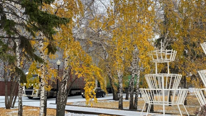     Заморозки Алина Попова