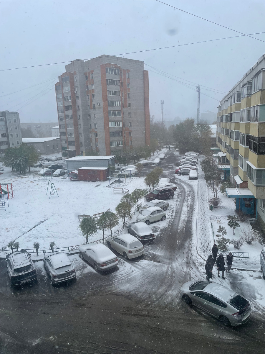 Целый день сыпит