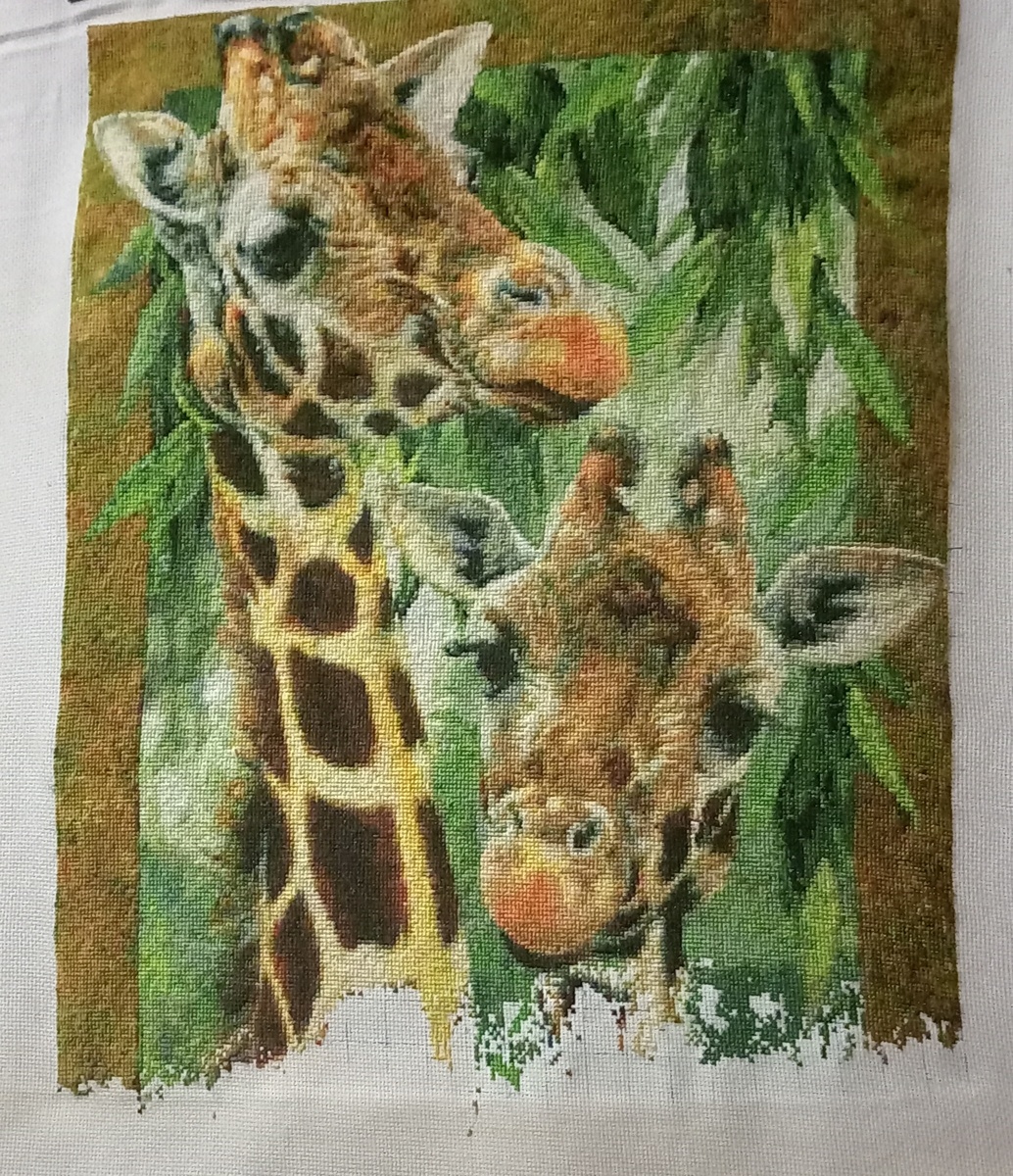 Фото автора канала.