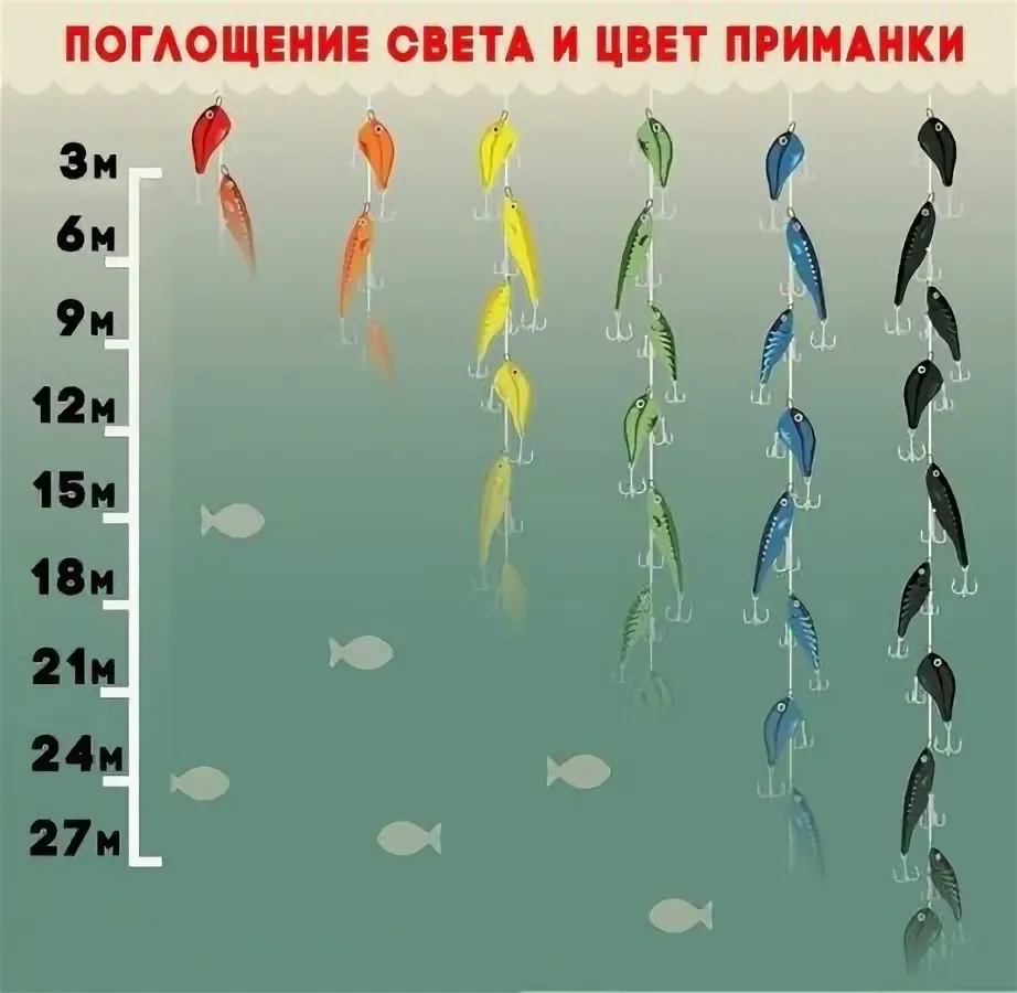 Фото с сайта: https://avatars.mds.yandex.net