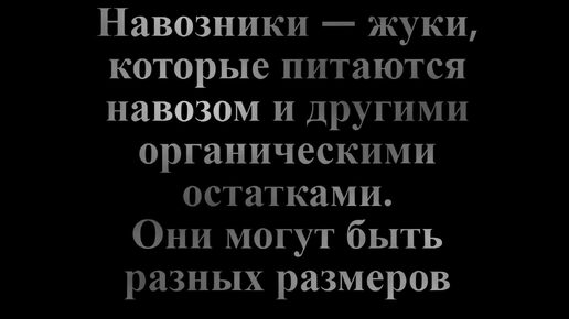 Навозные жуки санитары планеты