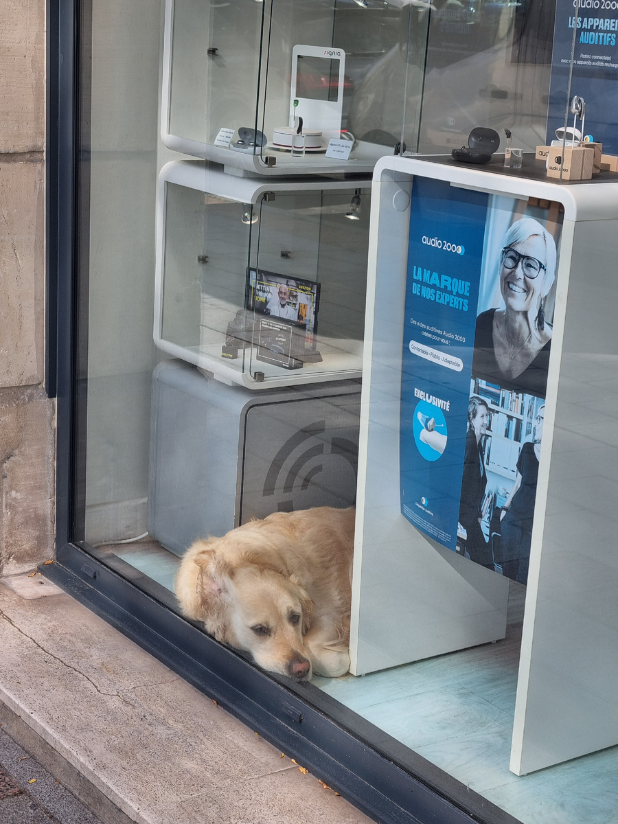 Кое-кто уже на работе в оптике