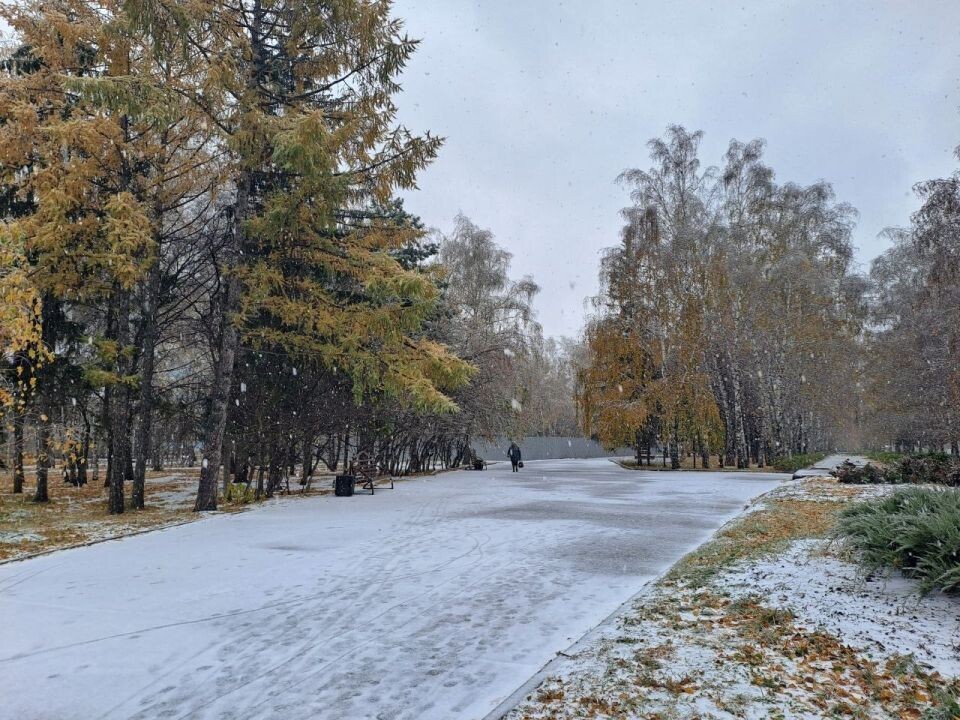    Снег в Барнауле. Источник: "Толк"