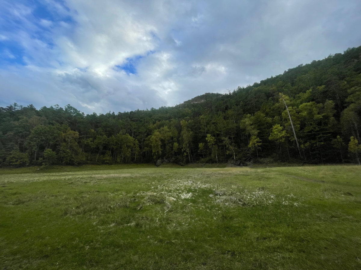 Сухим оно оказалось в прямом смысле :)