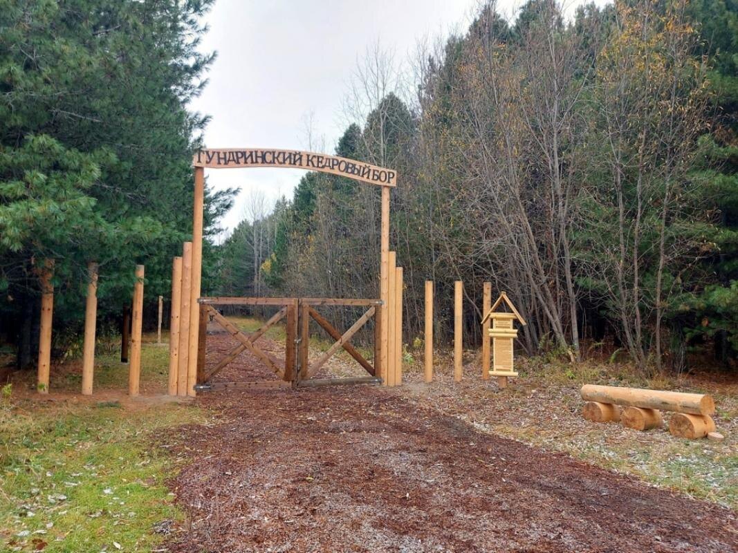    В Тундринском бору появится туристическая тропа