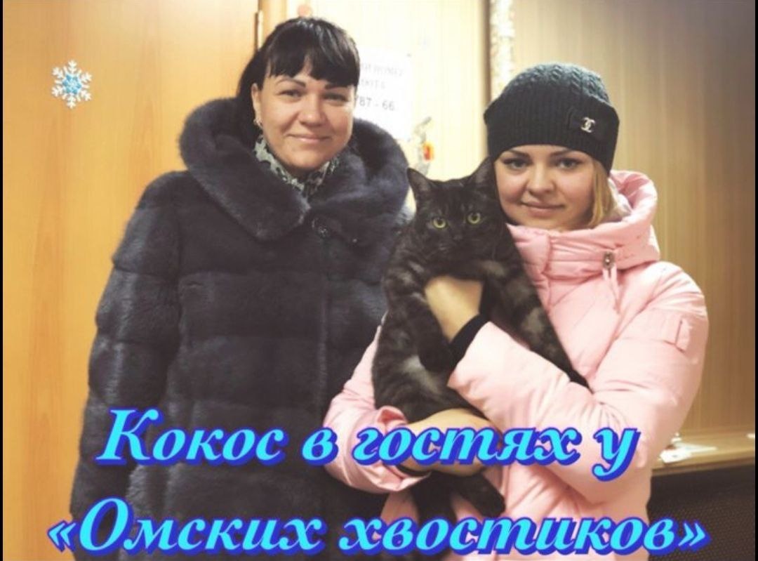 На этом фото Кокосик приезжал к нам в гости