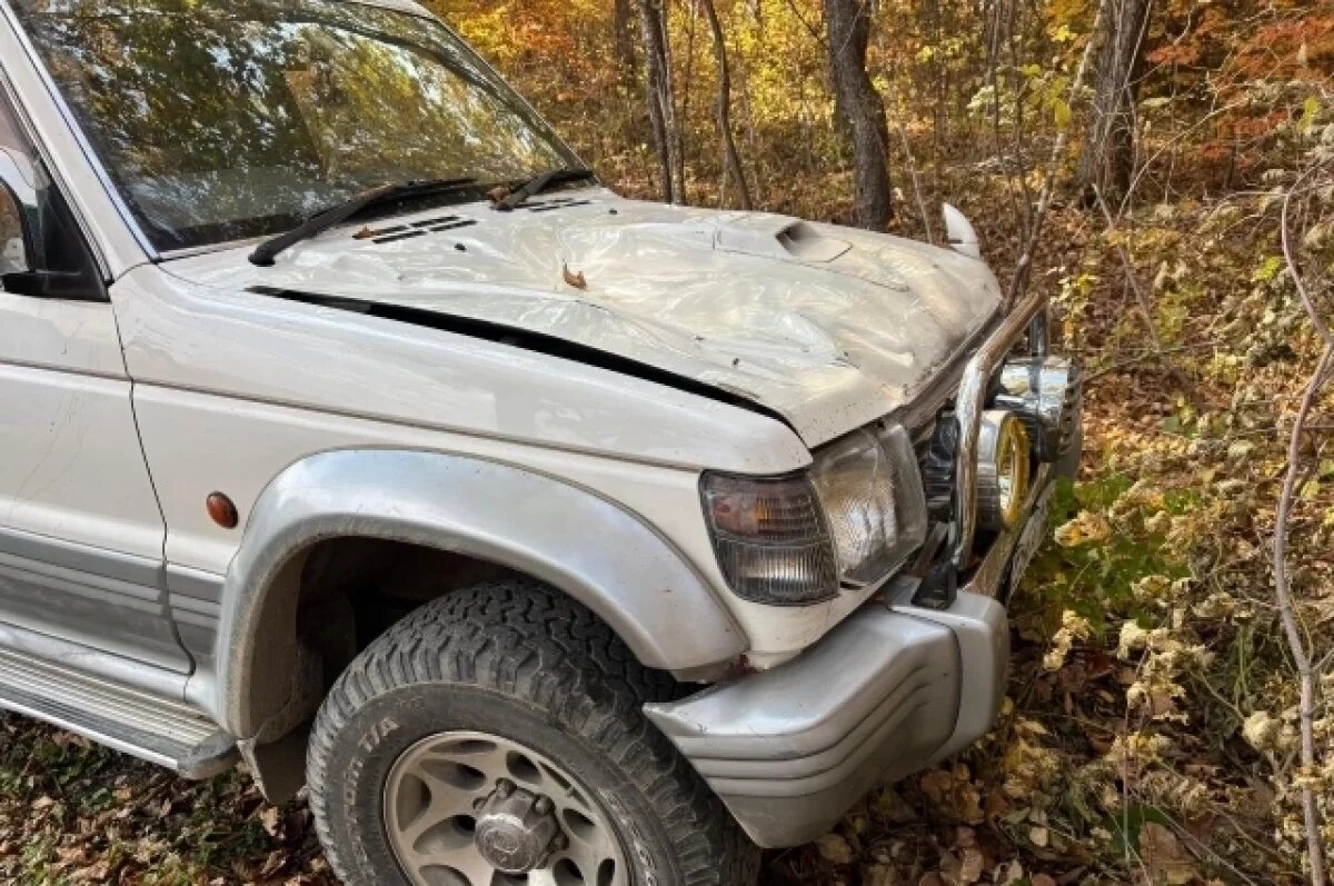    В Приморье полиция задержала виновника смертельного наезда на человека