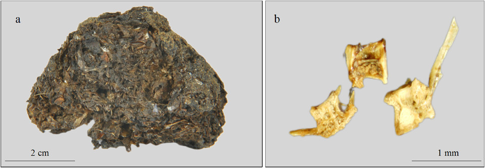   Kangkang Li et al. / Journal of Archaeological Science, 2024