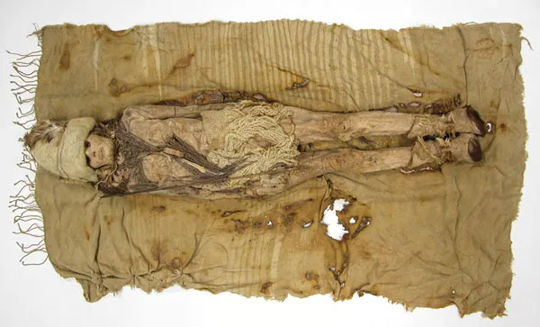 Фото из журнала Science Magazine через Nature Briefing