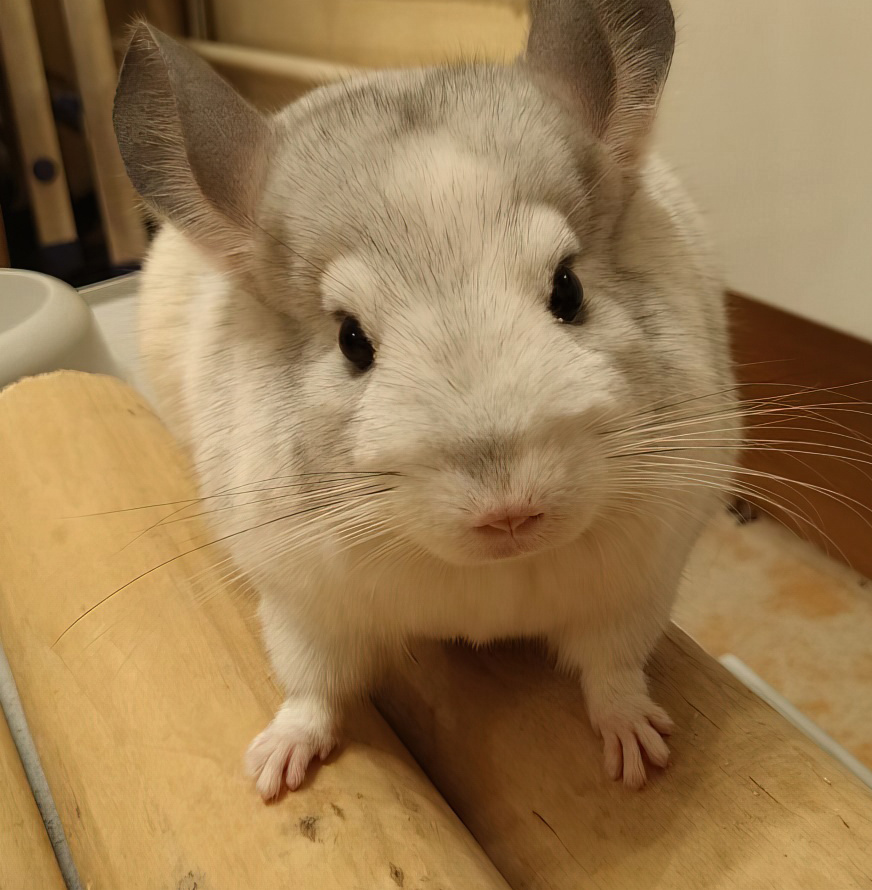 Пятый палец совсем крохотный