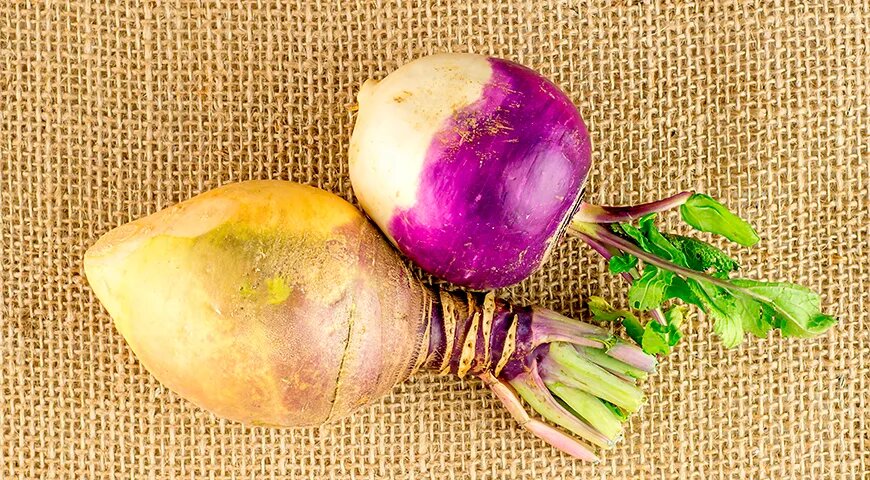   Не покупайте крупную репу — внутри она может оказаться полой, а по вкусу горькой (Shutterstock/FOTODOM)