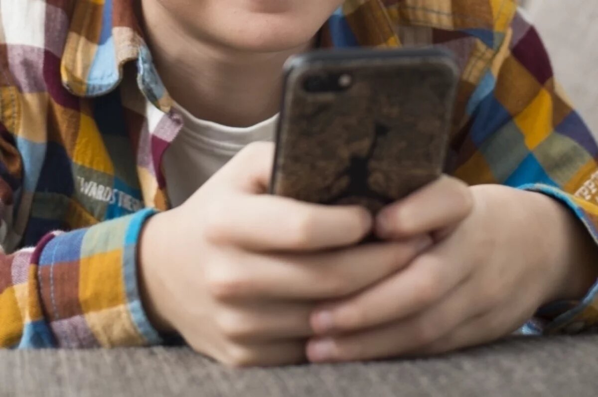    В Липецкой области 11-летний мальчик перевёл мошенникам 124 тыс. рублей