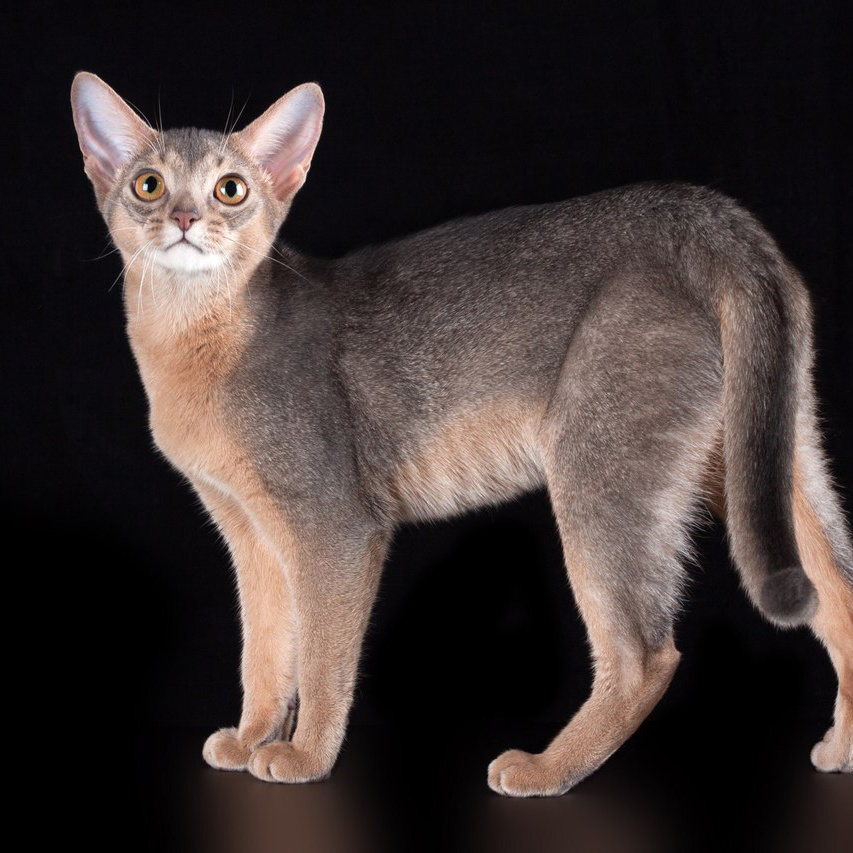 Фото используется в иллюстративных целях.