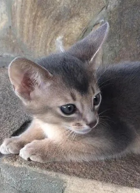 Просто ми-ми-ми.