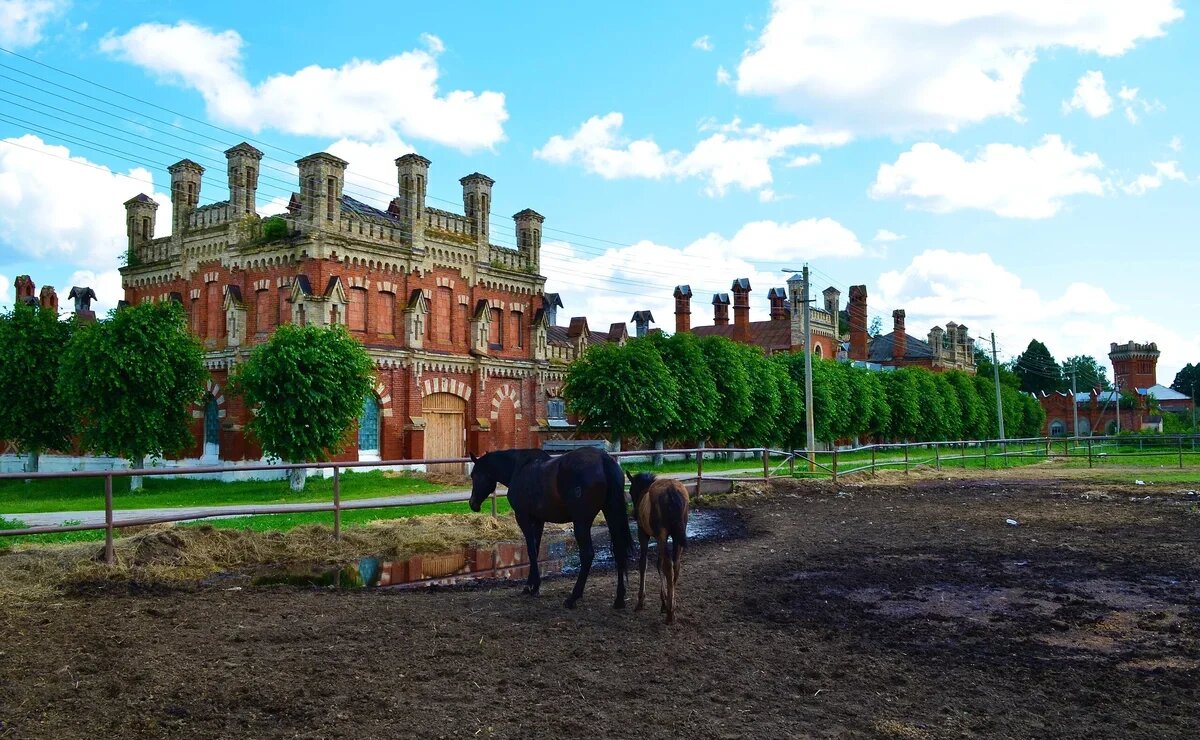    На машине по Рязанской области: 15 удивительных мест