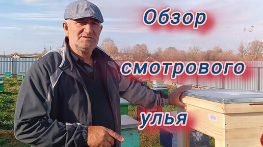 Обзор смотрового улья 🐝