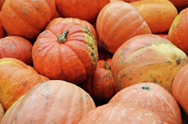 Фото: РИА Новости/Пелагия Тихонова