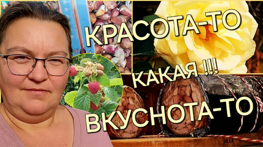 Рулет куриный😋/Чеснок посажен🧄/Погода супер/ОДНА В ДЕРЕВНЕ👱🏼‍♀️