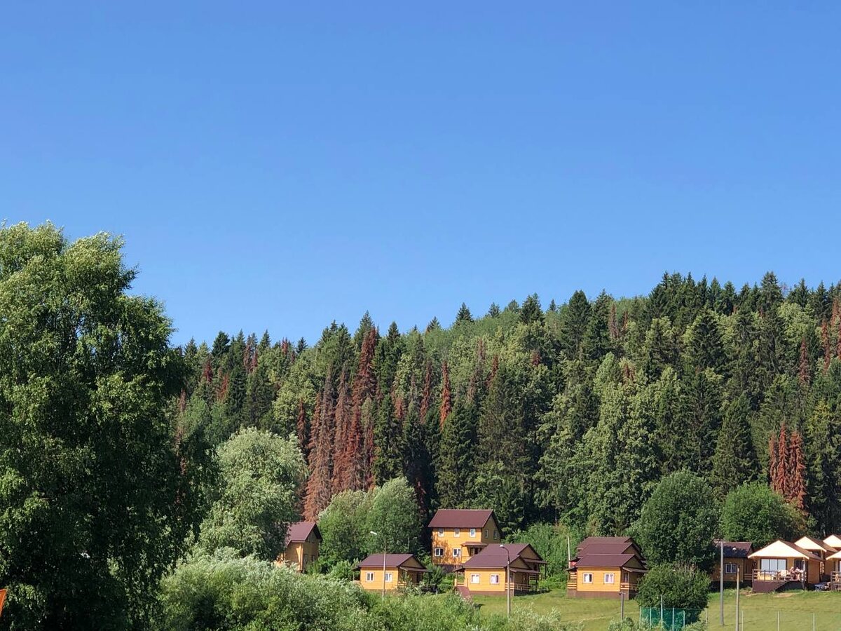 Красота и гладь