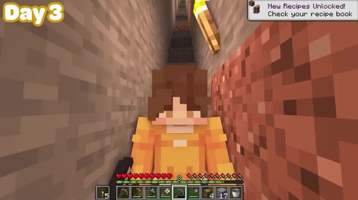 Я потратил 100 дней на преобразование самого уютного Коттеджного острова в Minecraft