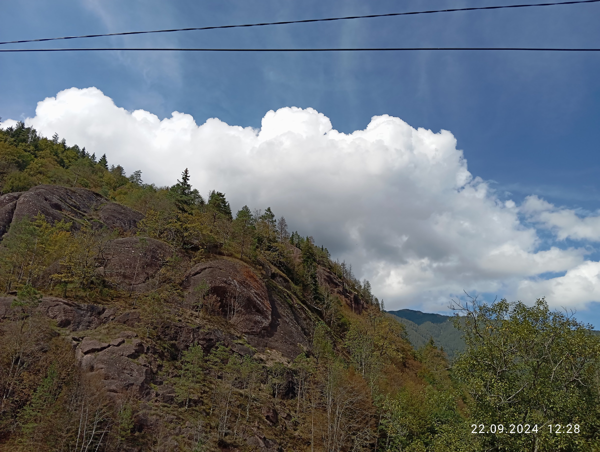 Ещё немного нашей природы... 