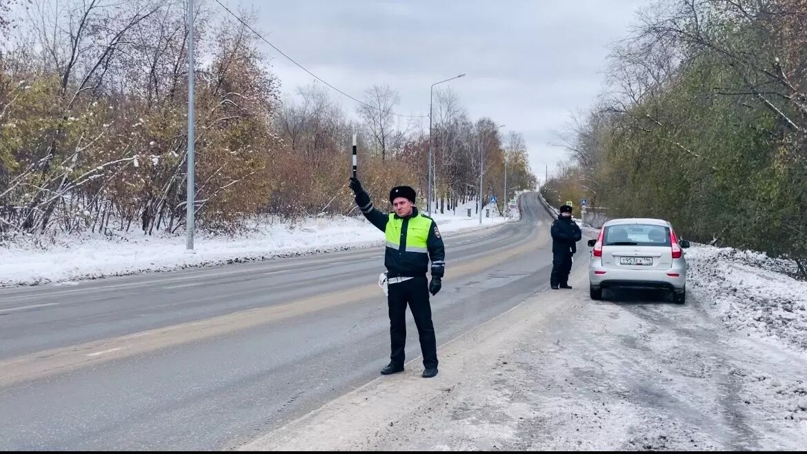     Источник: МУ МВД России «Нижнетагильское»